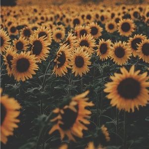 Meet your Posher, Gabrielle